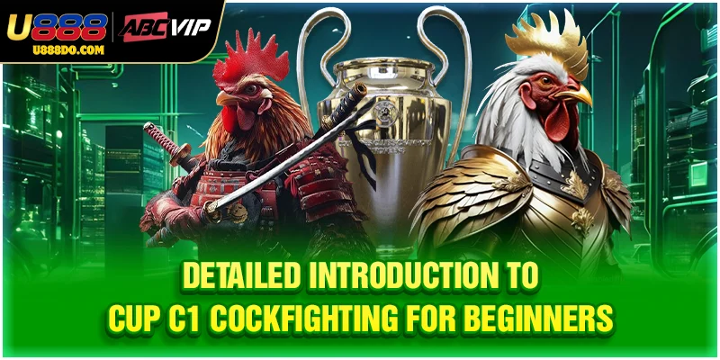 Detailed introduction to cup C1 cockfighting for beginners