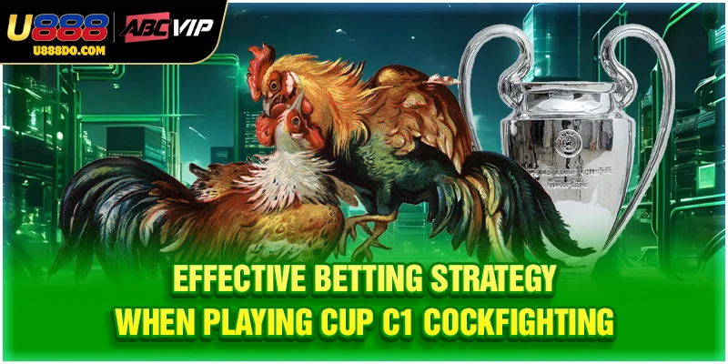 Effective betting strategy when playing cup C1 cockfighting
